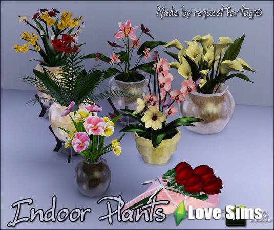Цветы Indoor Plants by sim_man123