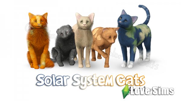 Кошки Solar System от Calista