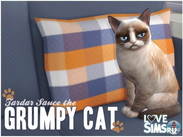 Кошка Grumpy Cat от Akisima