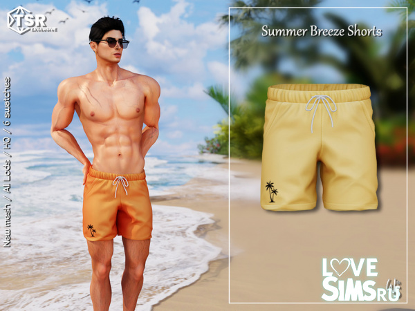 Пляжные шорты Summer Breeze Shorts