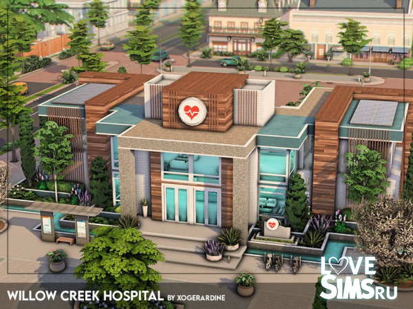 Госпиталь Willow Creek Hospital