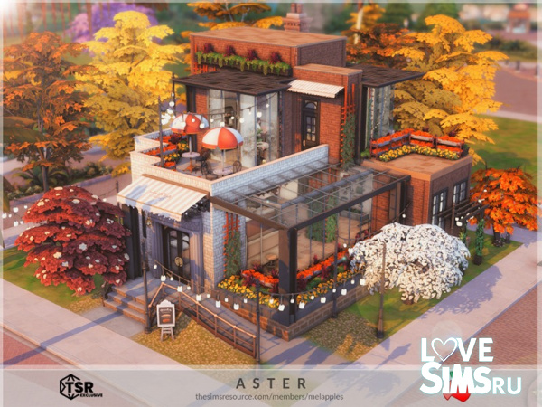 Кафе Aster от melapples