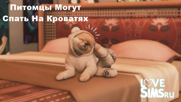 Питомцы Могут Спать На Кроватях