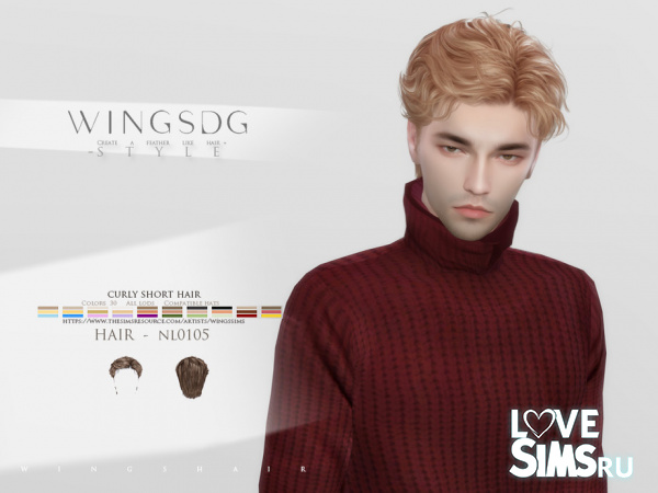 Мужская прическа NL0105 Curly Hair