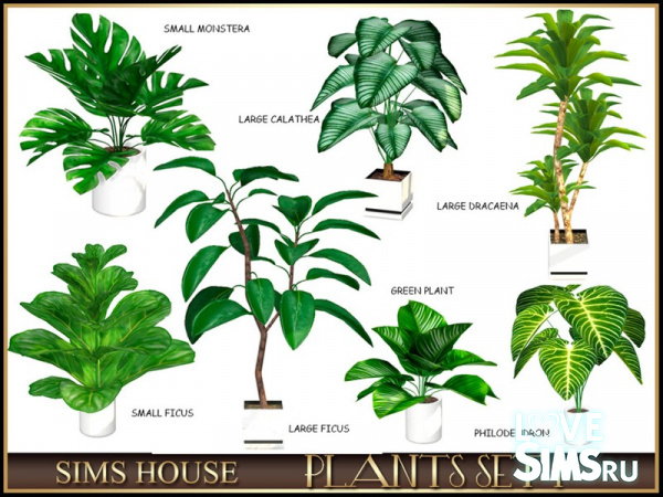 Набор растений PLANTS SET