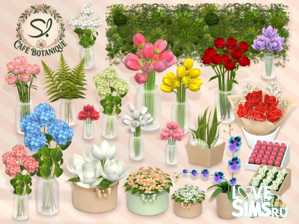 Цветы Cafe Botanique Flowers