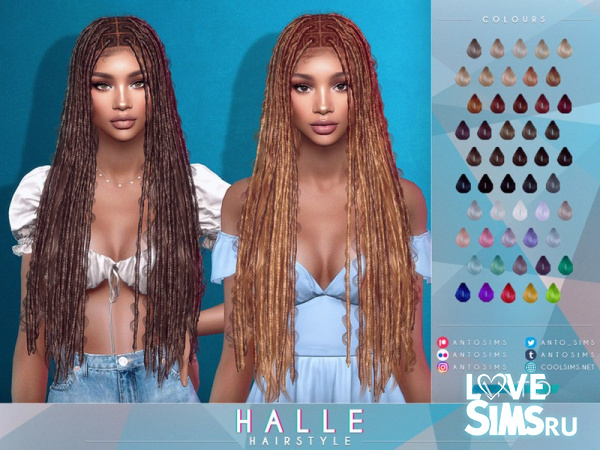 Прическа Halle Hairstyle